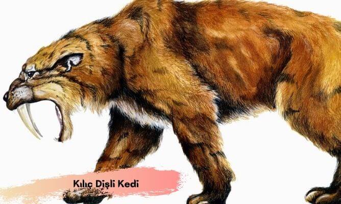 dünyada ve türkiye'de nesli tükenen hayvanlar kılıç dişli kedi