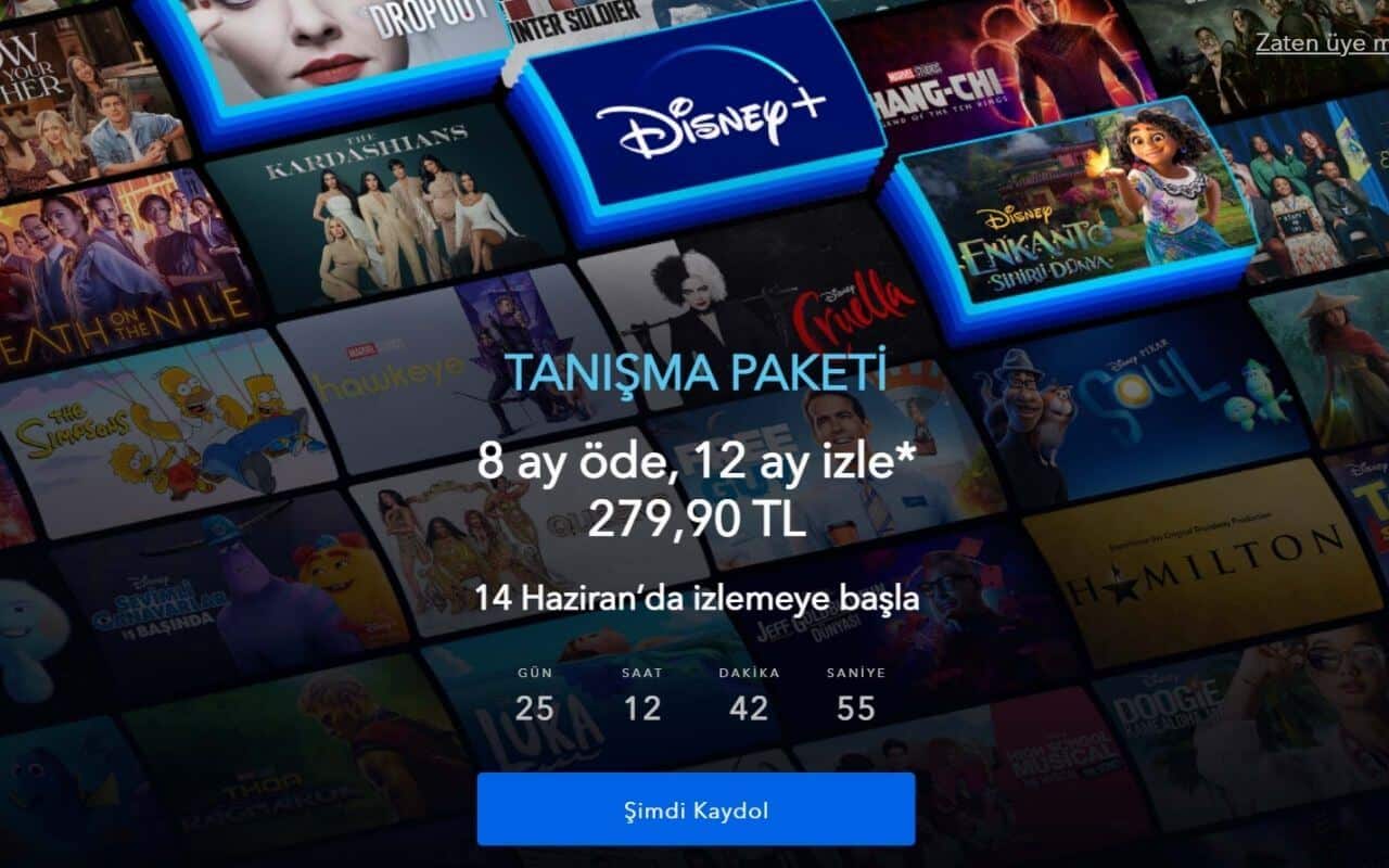 disney plus nedir
