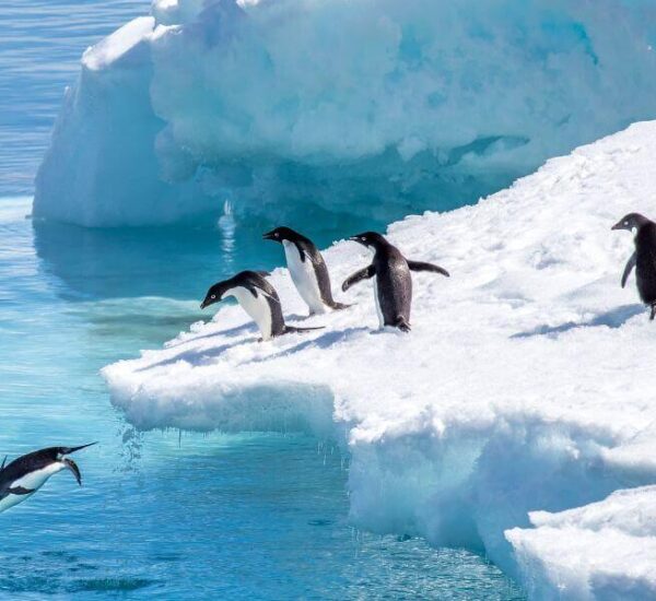 dunyanin en soguk yeri neresidir