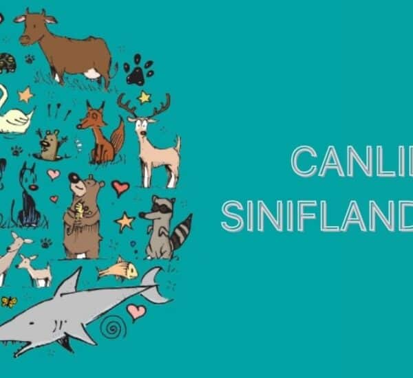 canlıların sınıflandırılması canlıların sınıflandırılması